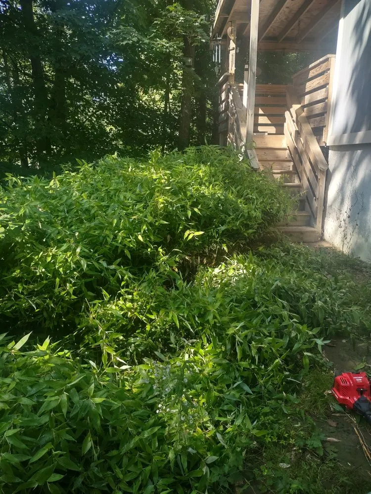 Reliable lawn care service for outdoor upgrades in Newton, NJ by Davenport Landscaping