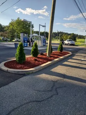 Davenport Landscaping Logo