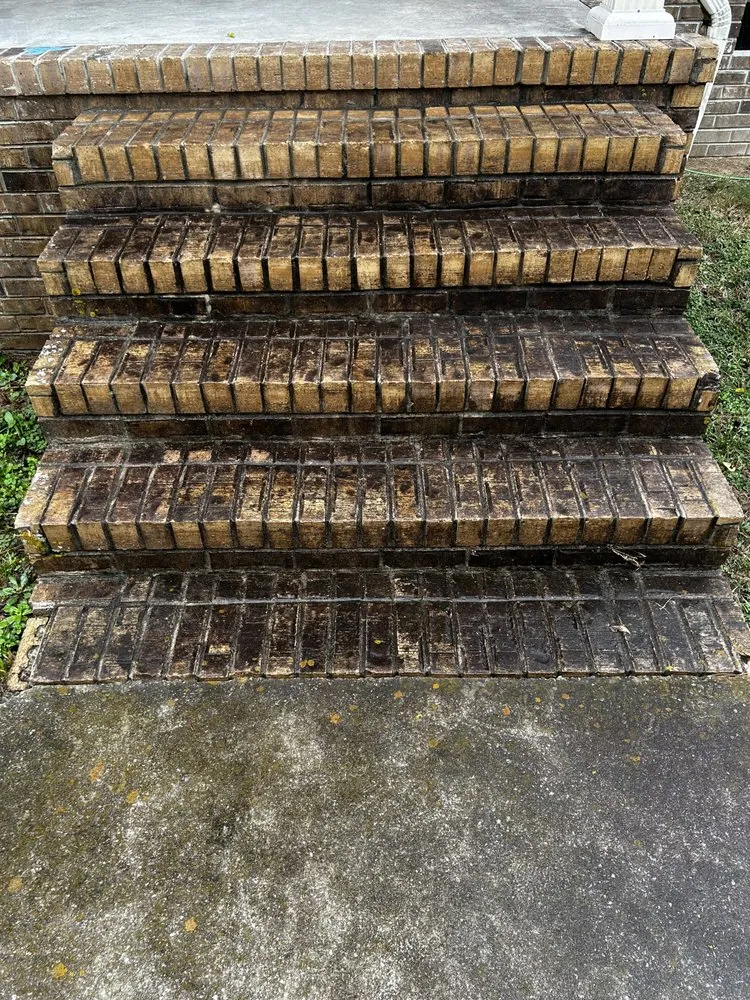 Reliable yard maintenance in Manchester, TN - Davenport Lawn Care