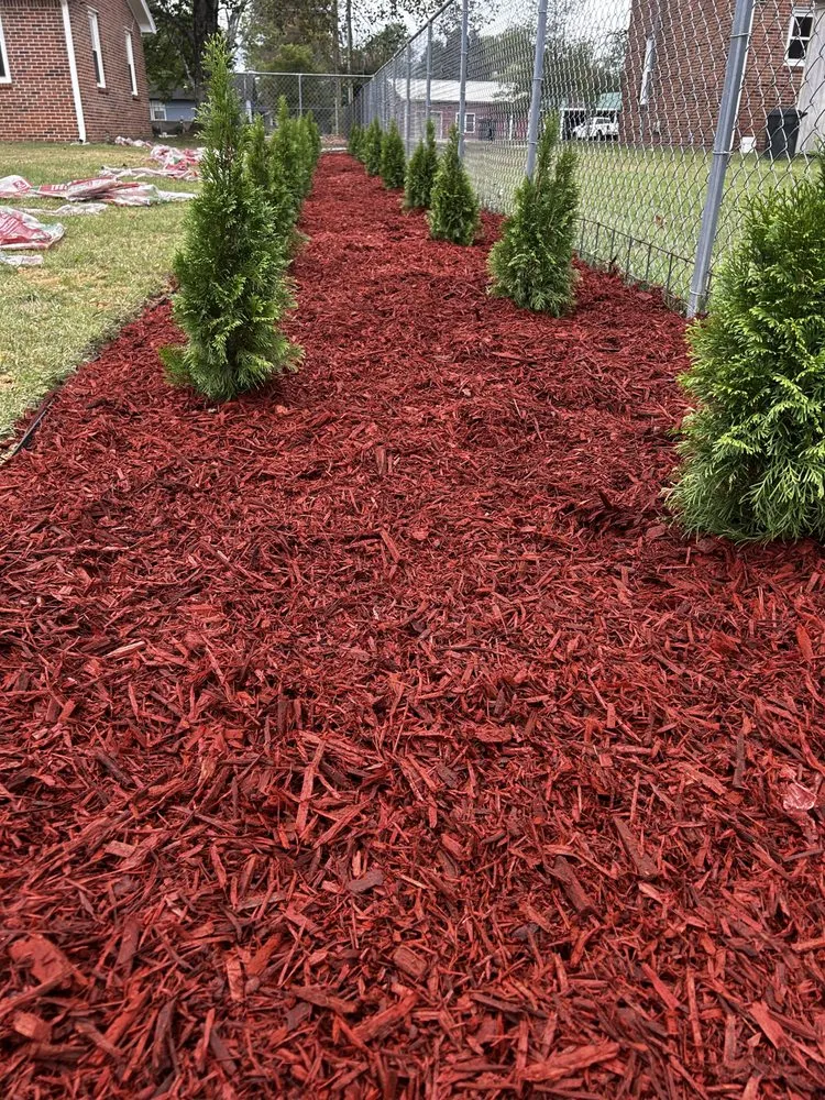 Top-rated residential landscaping in Manchester, TN by Davenport Lawn Care