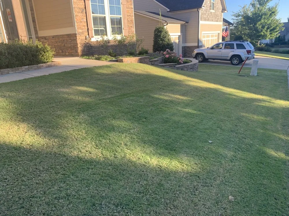 Expert lawn care service in Rydal, GA - Dave's Dependable Lawn Care