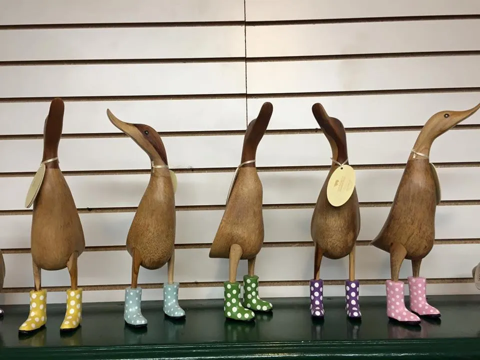 Professional lawn mowing service experts serving Canyon Lake, TX - Dave's Dirt Works & Landscape