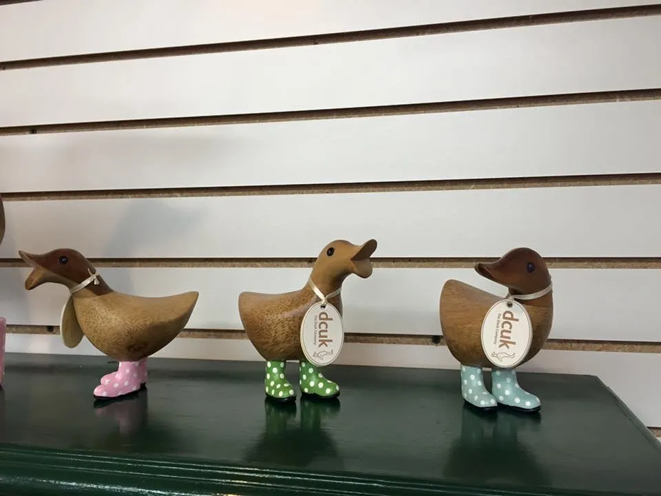 Reliable lawn care service in Canyon Lake, TX by Dave's Dirt Works & Landscape