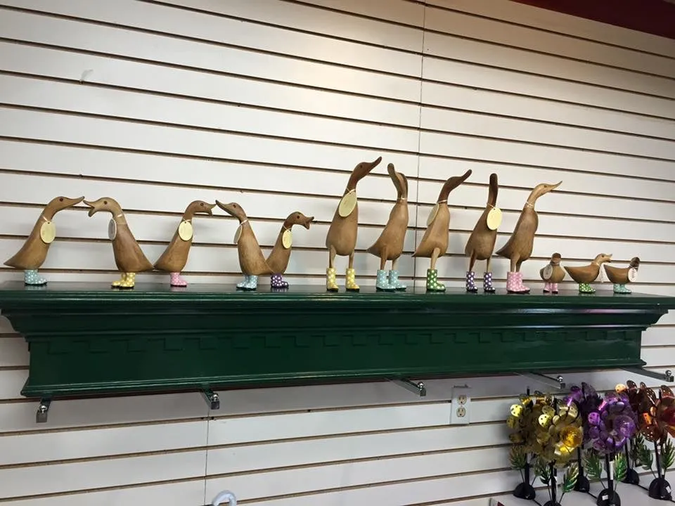 Top-rated yard cleanup service experts serving Canyon Lake, TX - Dave's Dirt Works & Landscape