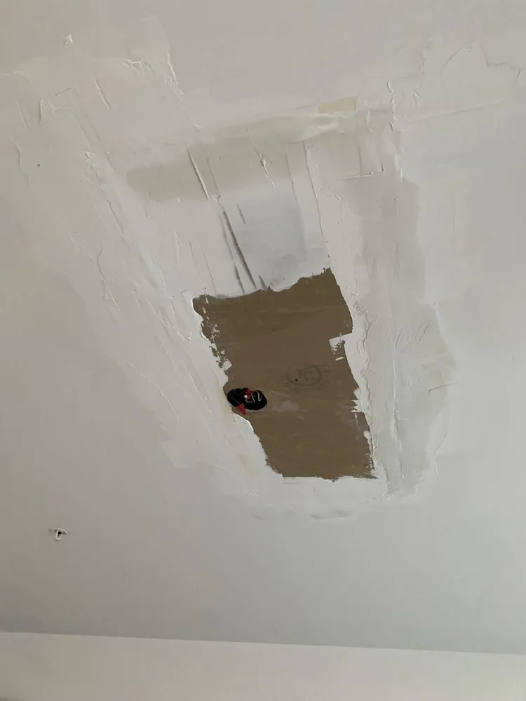 Affordable lawn care service experts serving Jonesboro, GA - Dave's Do It All Services