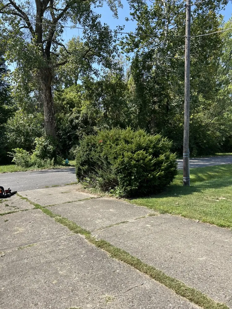 Professional yard cleanup service in Camby, IN by Dave’s Enterprise