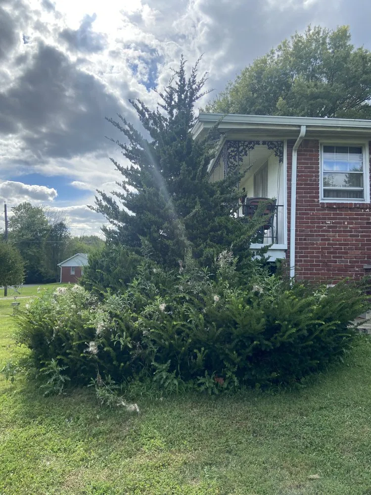 Professional outdoor landscaping for outdoor upgrades in Camby, IN by Dave’s Enterprise