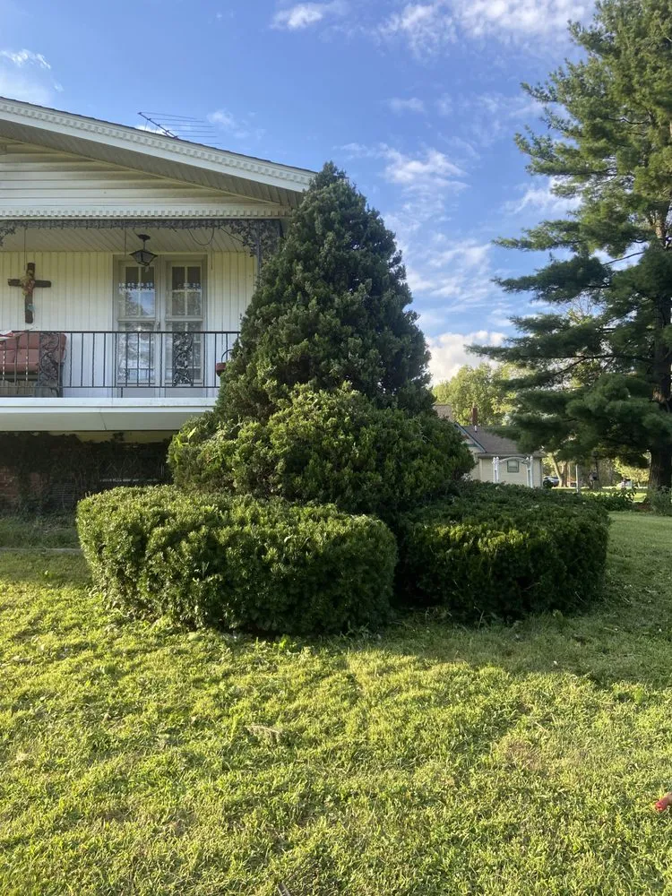 Top-rated garden landscaping in Camby, IN - Dave’s Enterprise