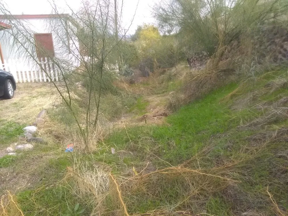 Custom landscaping services for residential properties across Wickenburg, AZ - Daves Gardening & Tree