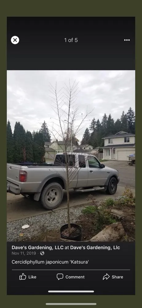 Local yard cleanup service experts serving Seattle, WA - Dave's Gardening