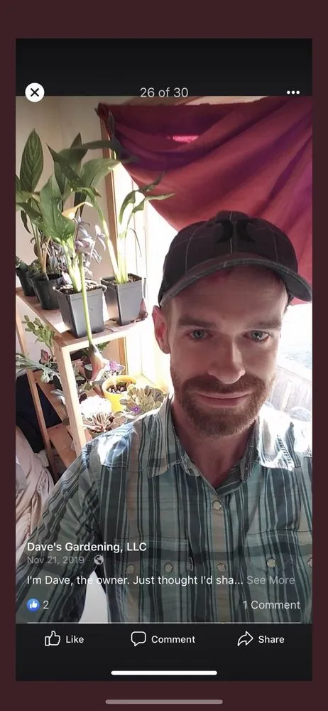 Top-rated landscape design in Seattle, WA by Dave's Gardening