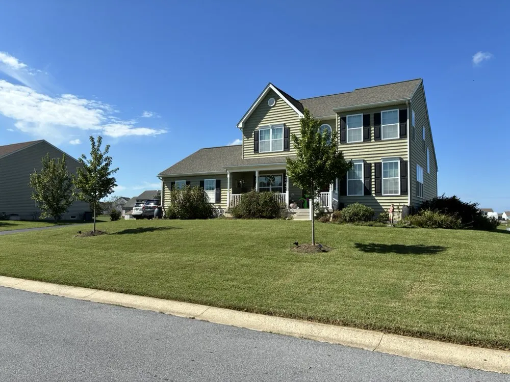 Trusted yard maintenance for outdoor upgrades in Smyrna, DE by Dave’s Grass Cutting