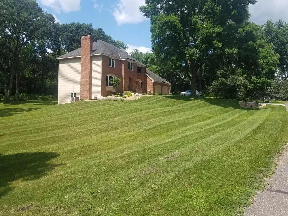 Trusted yard cleanup service experts serving St Paul, MN - Dave's Green Thumb Lawn Care