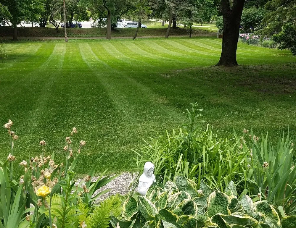 Affordable outdoor landscaping for beautiful yards across St Paul, MN - Dave's Green Thumb Lawn Care