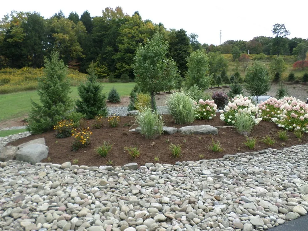 Trusted yard cleanup service with custom design across Susquehanna, PA - Dave's Hauling