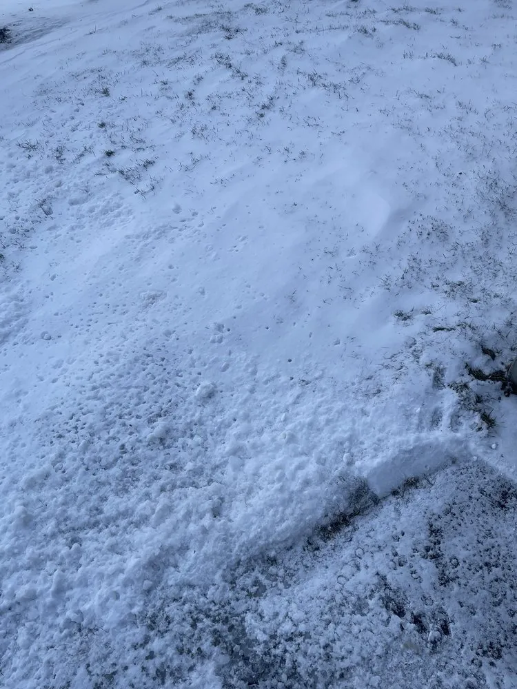 Top-rated outdoor landscaping in Hudson, MA by Dave's Landscape Management Company