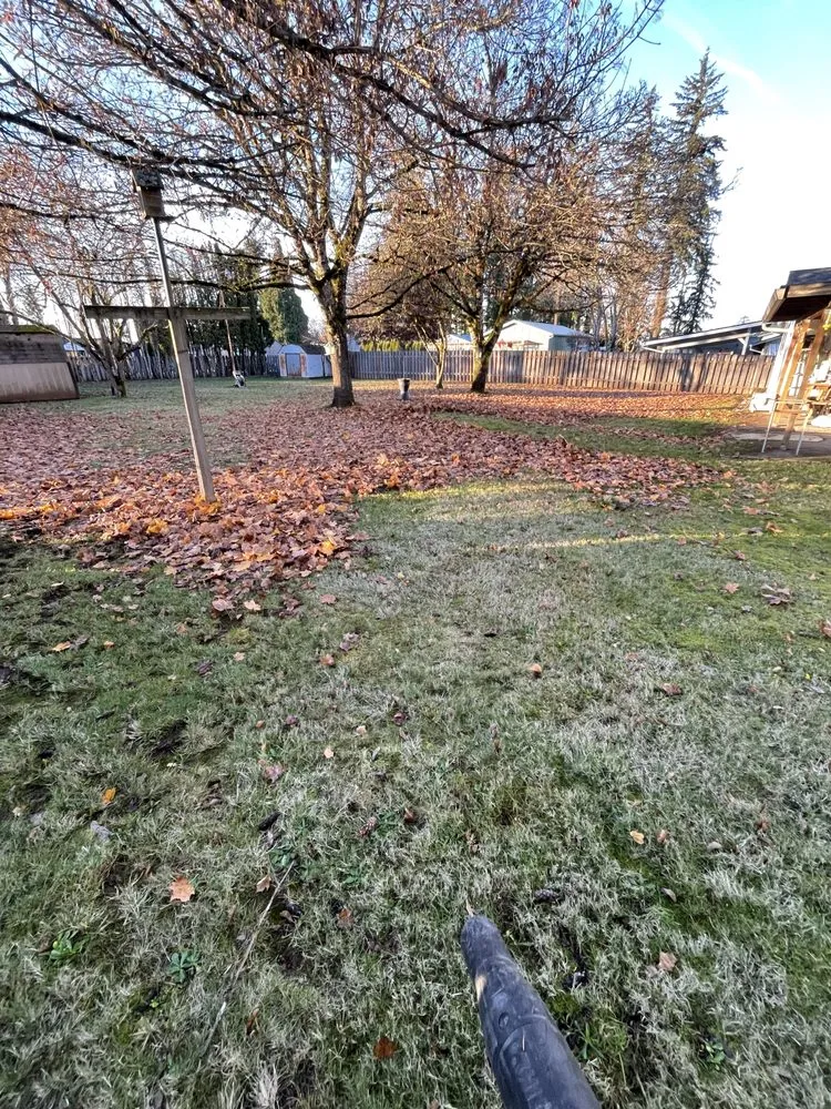 Expert landscape installation for beautiful yards across Oregon City, OR - Daves landscape