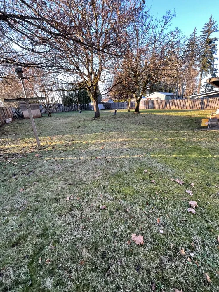 Trusted lawn care service for residential properties across Oregon City, OR - Daves landscape