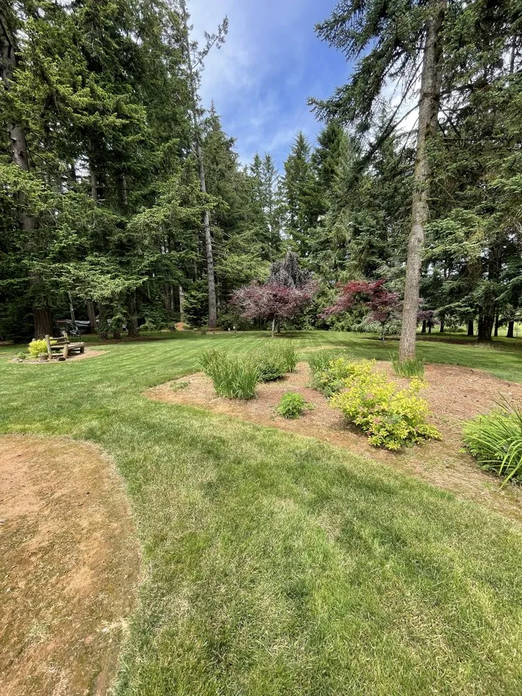 Local lawn care service for homes across Oregon City, OR - Daves landscape