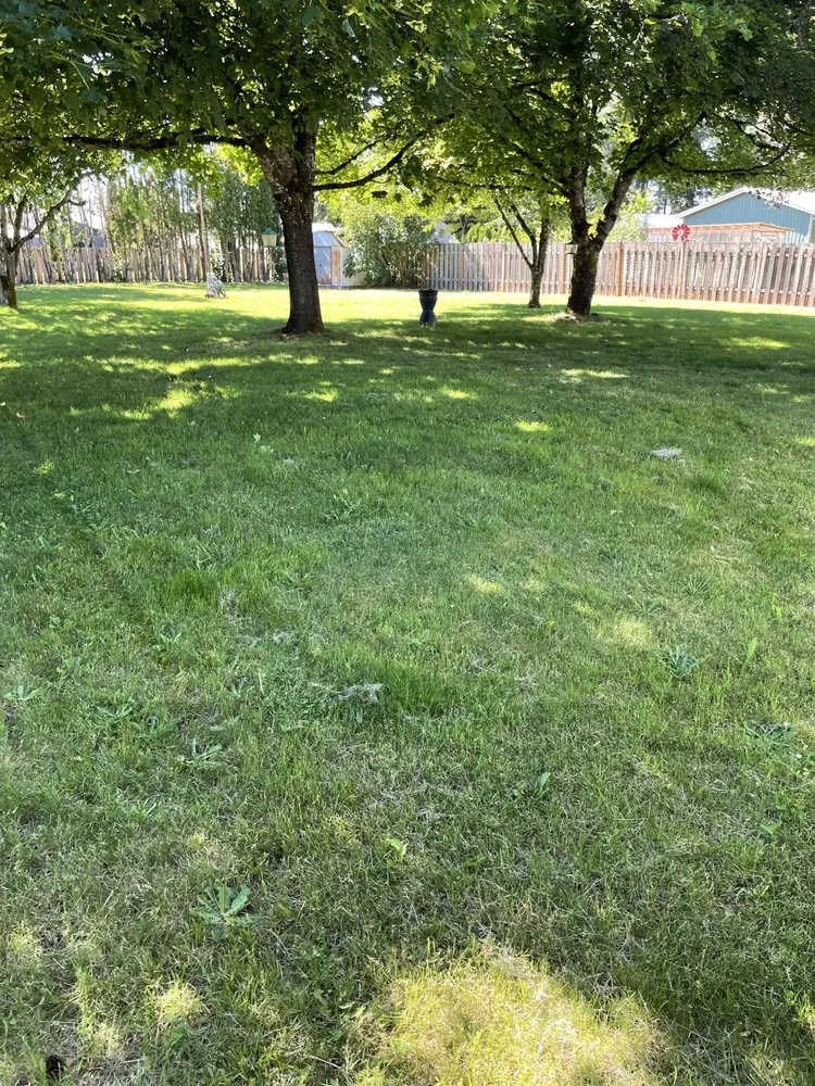 Top-rated lawn care service experts serving Oregon City, OR - Daves landscape