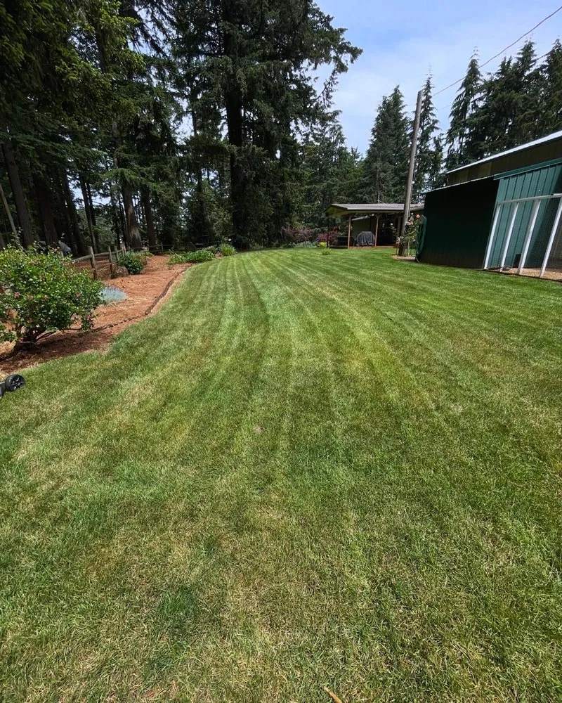 Expert landscaping services for year-round maintenance in Oregon City, OR by Daves landscape