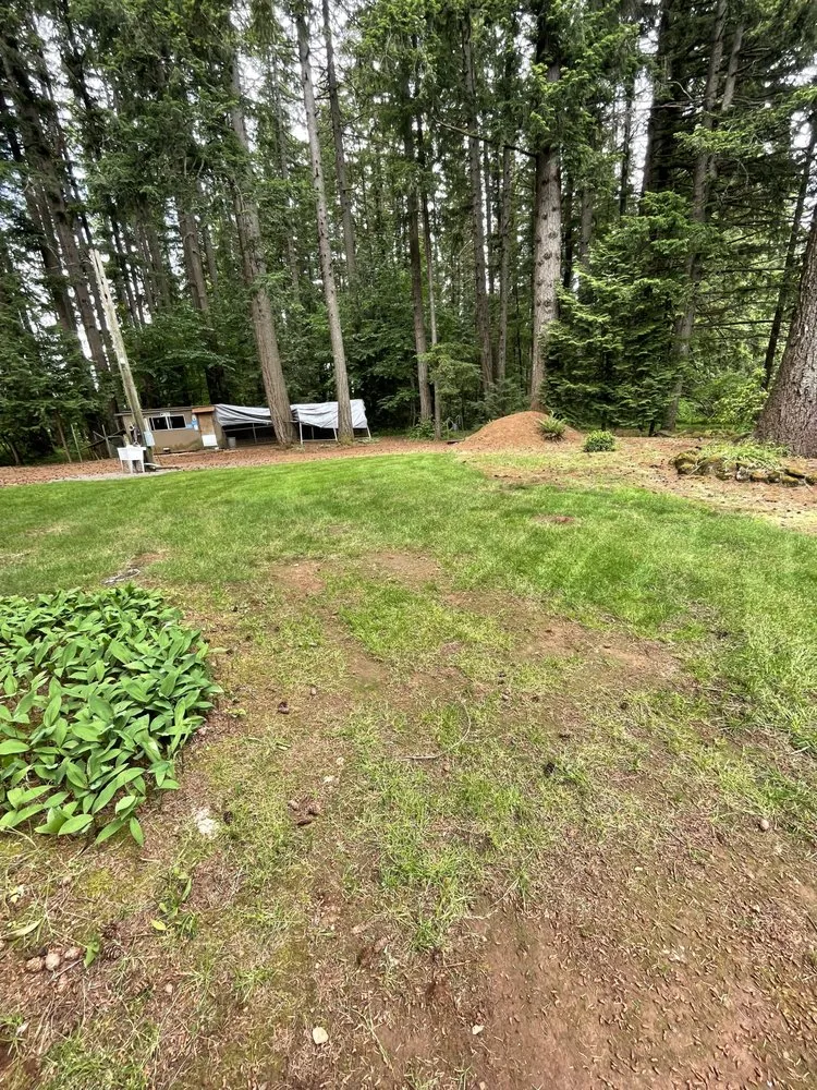 Local landscape installation experts serving Oregon City, OR - Daves landscape