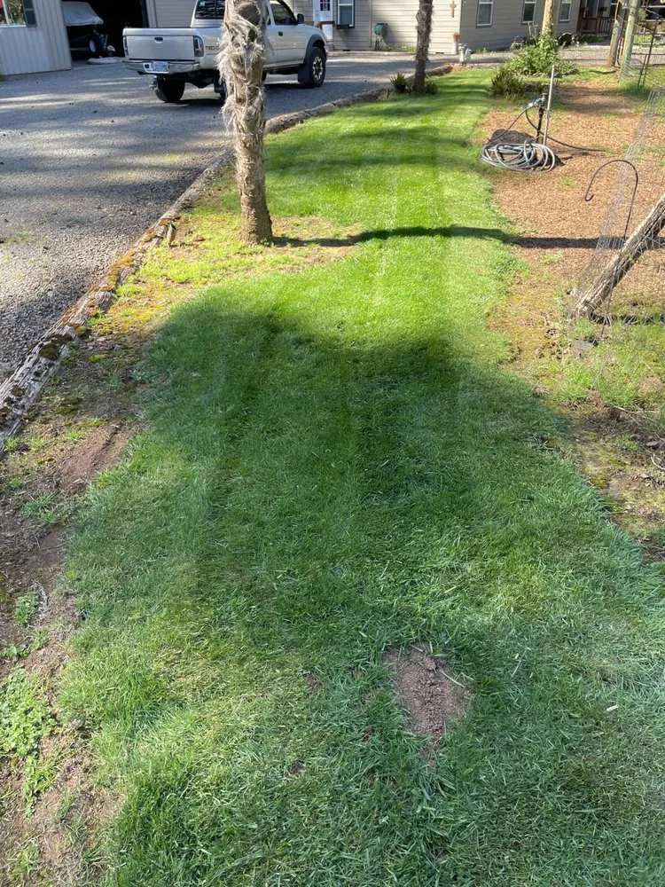 Custom landscape design for homes across Oregon City, OR - Daves landscape