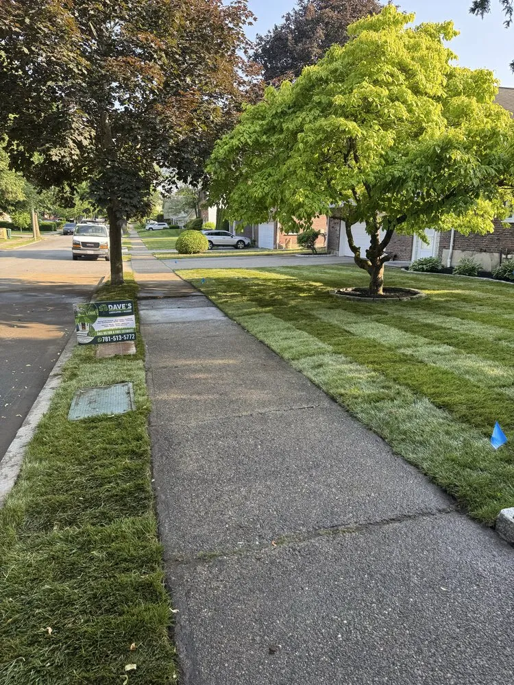 Top-rated landscape design in Lynn, MA by Dave’s Landscaping & Masonry