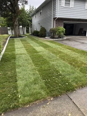 Dave’s Landscaping & Masonry Logo