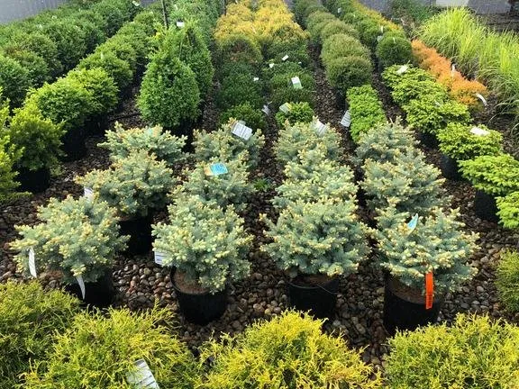 Professional landscape installation in Amsterdam, NY by Dave's Landscaping