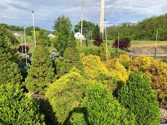 Custom outdoor landscaping for outdoor upgrades across Amsterdam, NY - Dave's Landscaping
