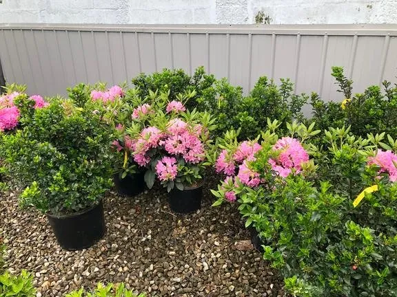 Custom yard maintenance in Amsterdam, NY by Dave's Landscaping