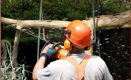 Professional landscaping services experts serving Amsterdam, NY - Dave's Landscaping