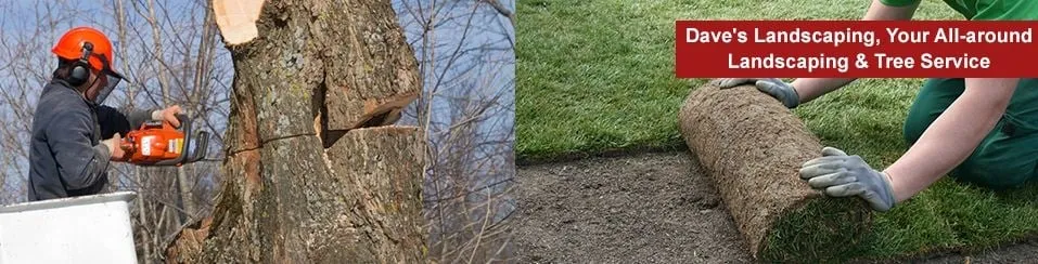 Top-rated yard maintenance experts serving Amsterdam, NY - Dave's Landscaping