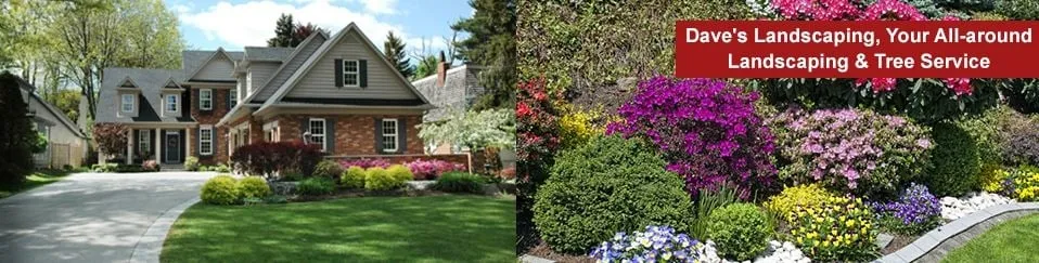 Affordable landscaping services in Amsterdam, NY by Dave's Landscaping