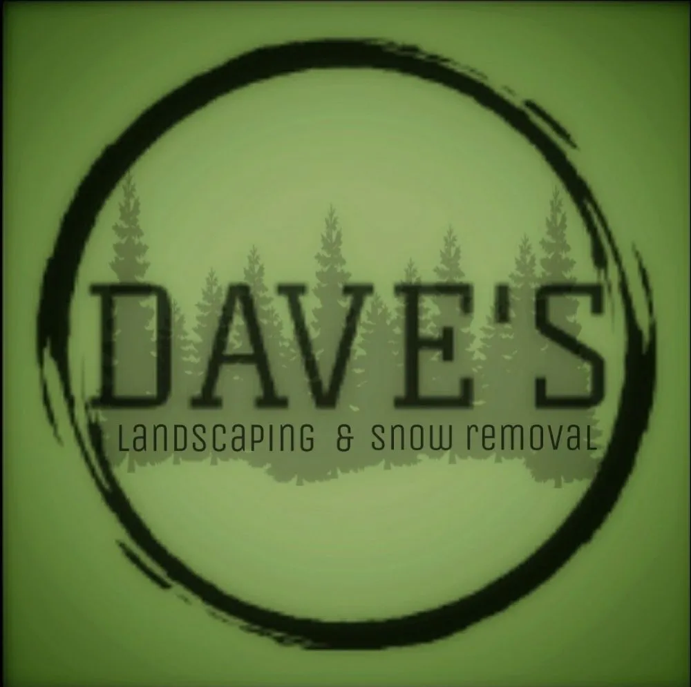 Expert lawn care service in Green Bay, WI by Dave's Landscaping and Snow Removal