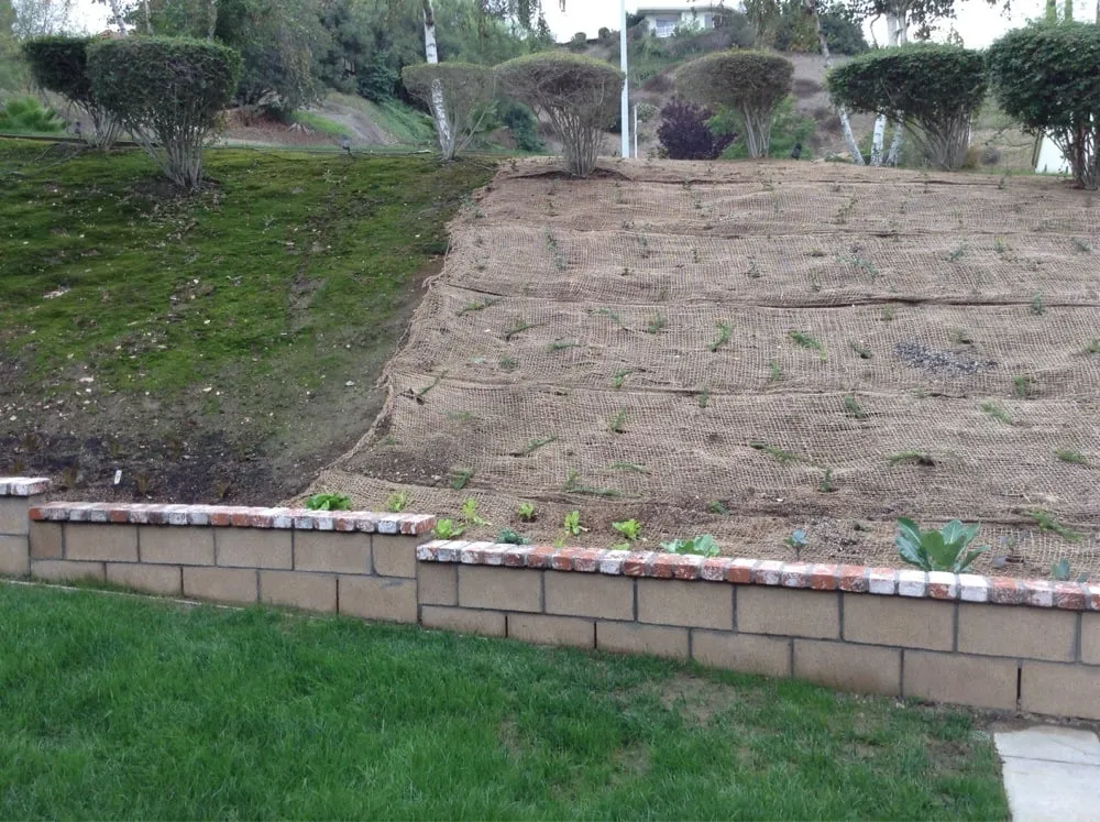 Reliable landscape installation experts serving Covina, CA - Dave's Landscaping