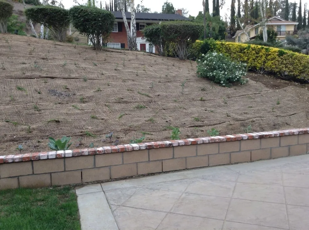 Trusted yard maintenance in Covina, CA by Dave's Landscaping