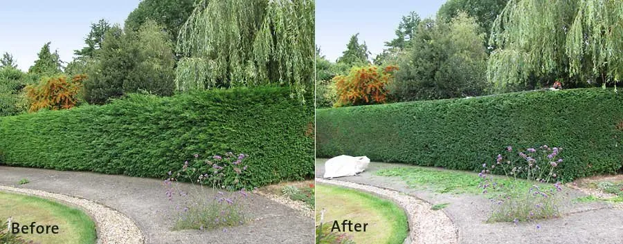 Professional residential landscaping in Highland Beach, MD - Dave’s Landscaping