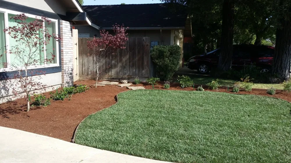 Professional lawn mowing service experts serving Modesto, CA - Dave's Landscaping