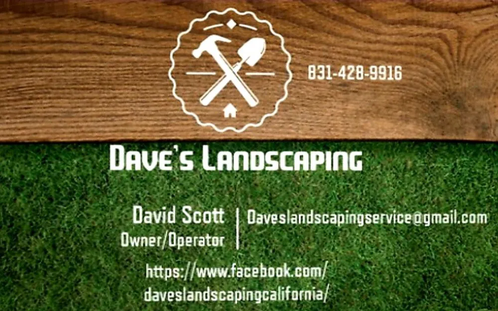Expert landscape design for outdoor upgrades across Santa Cruz, CA - Dave's Landscaping