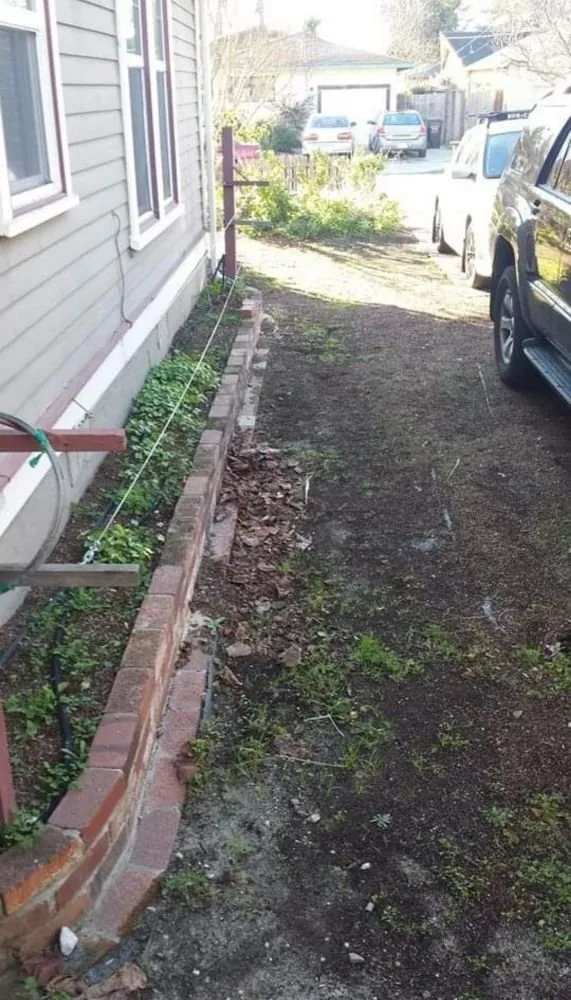 Local lawn care service experts serving Santa Cruz, CA - Dave's Landscaping