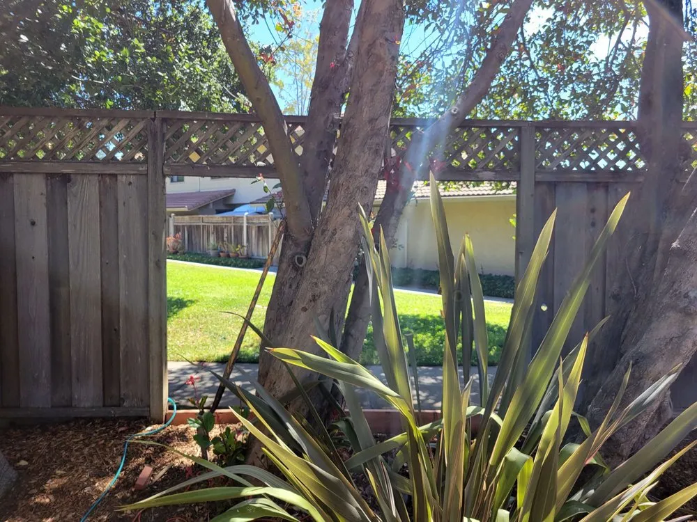 Reliable lawn mowing service in Santa Cruz, CA - Dave's Landscaping