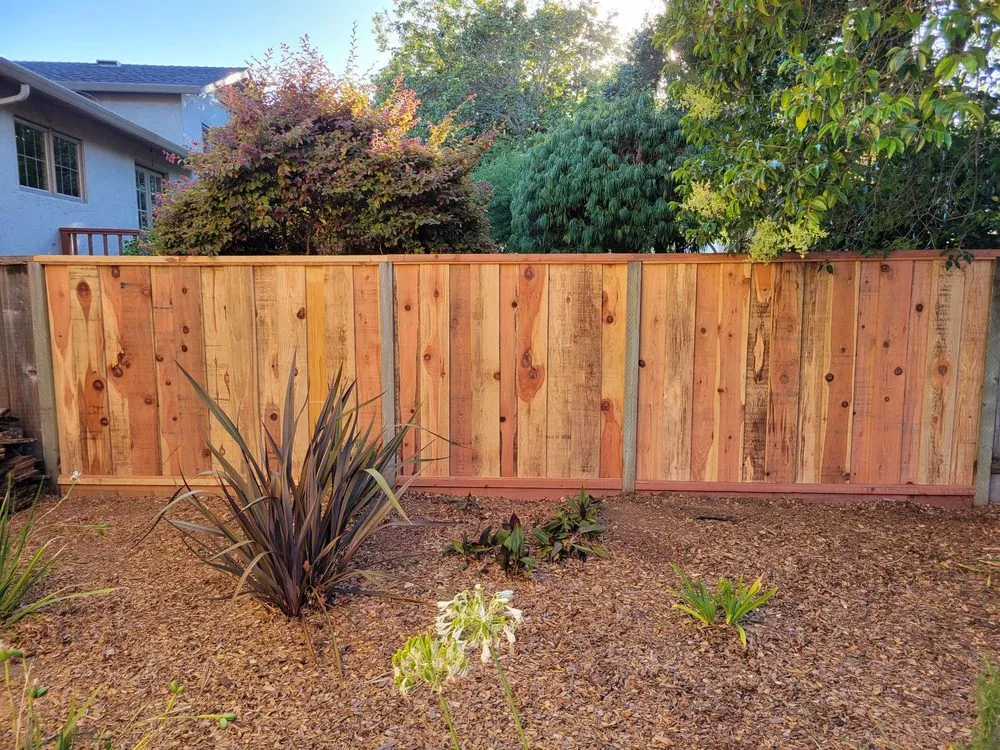 Custom yard cleanup service in Santa Cruz, CA - Dave's Landscaping