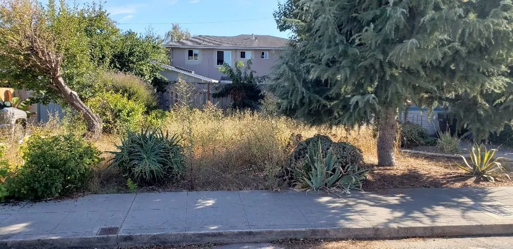 Custom lawn care service for homes across Santa Cruz, CA - Dave's Landscaping