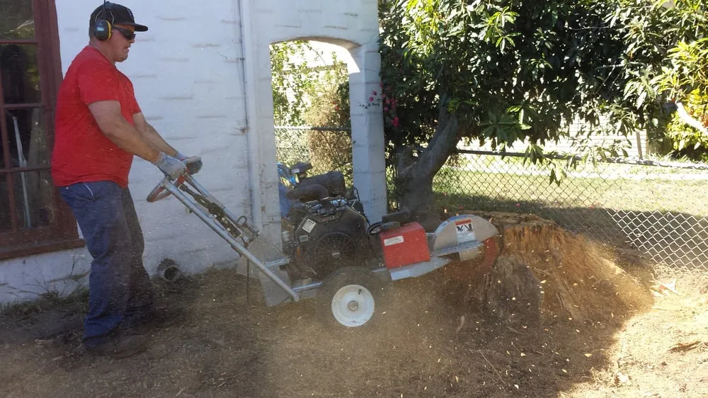 Expert outdoor landscaping in Santa Cruz, CA by Dave's Landscaping