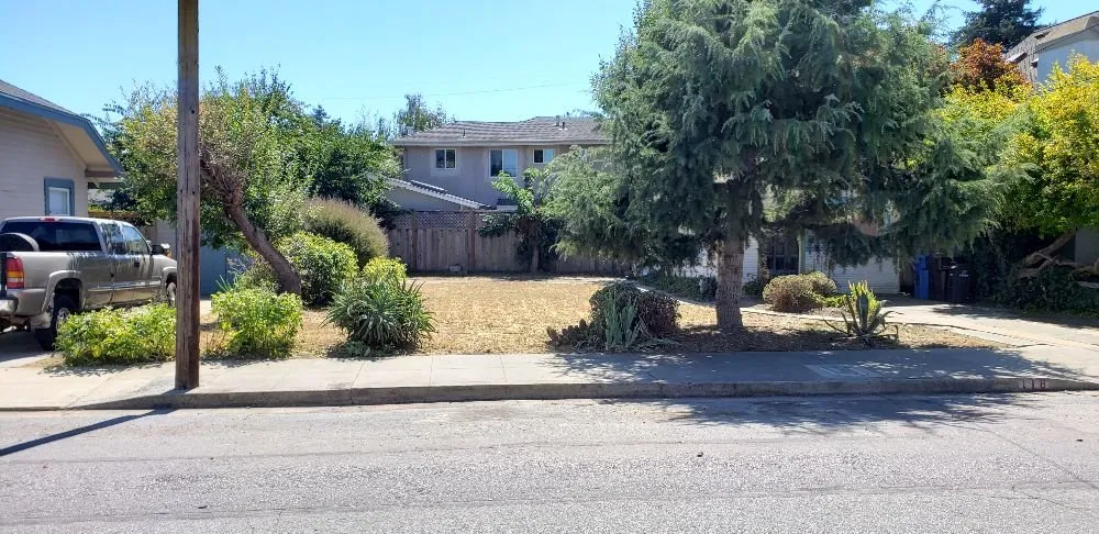 Custom yard maintenance for year-round maintenance in Santa Cruz, CA by Dave's Landscaping