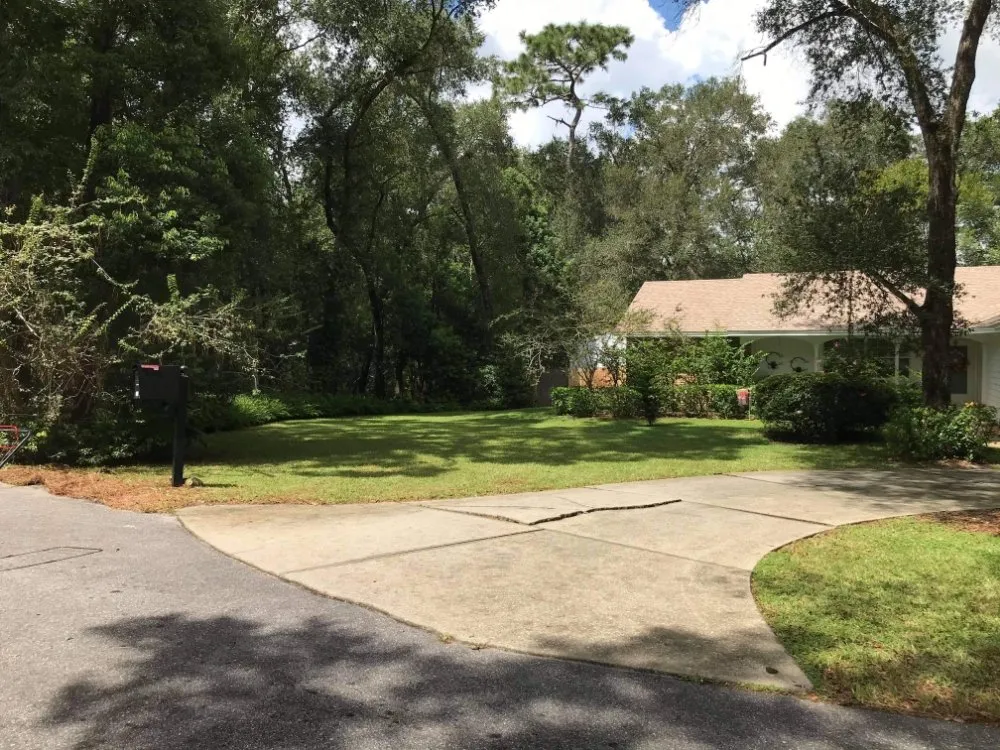Professional outdoor landscaping experts serving Mt. Plymouth, FL - Dave's Lawn & Handyman Services
