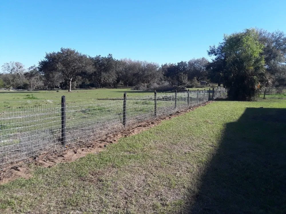 Trusted landscape design experts serving Mt. Plymouth, FL - Dave's Lawn & Handyman Services