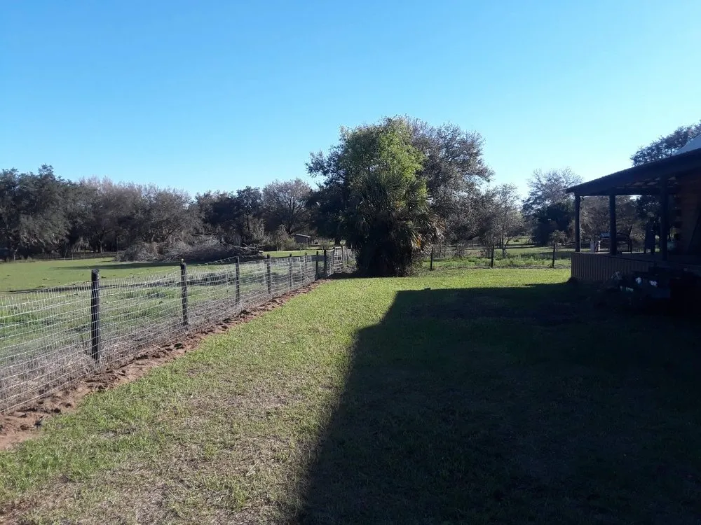 Expert lawn care service in Mt. Plymouth, FL - Dave's Lawn & Handyman Services
